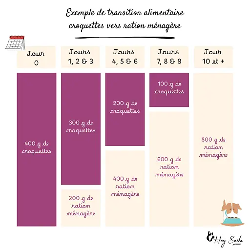 exemple-de-transition-alimentaire-croquettes-vers-ration-menagere