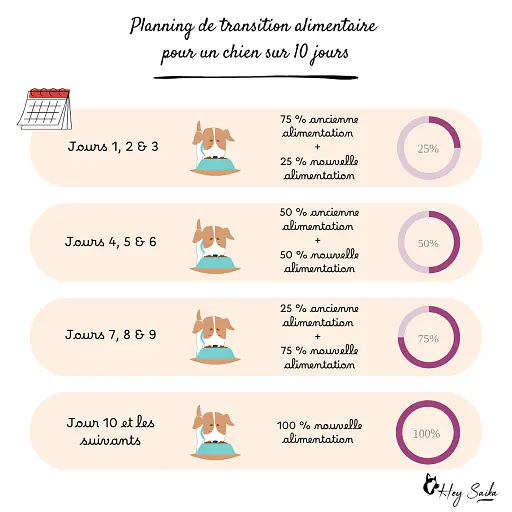 planning-de-transition-alimentaire-chien