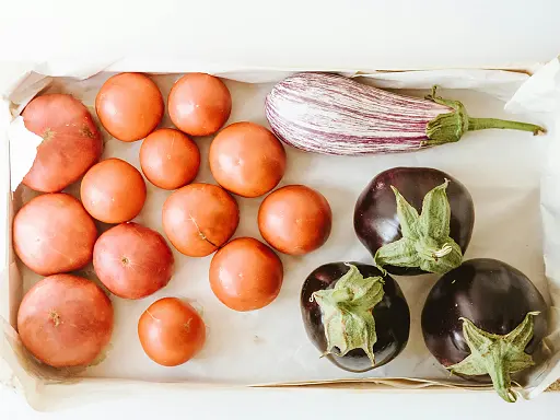 pommes-de-terre-tomates-aubergines-aliments-dangereux-pour-chien