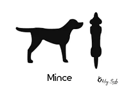 silhouette-chien-mince