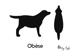 silhouette-chien-obese