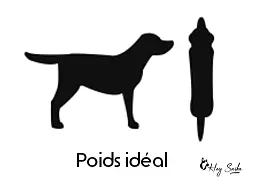 silhouette-chien-poids-ideal