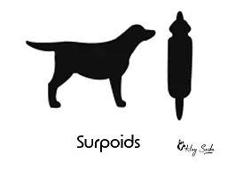 silhouette-chien-surpoids