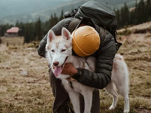 5-conseils-pour-partir-en-randonnee-avec-son-chien