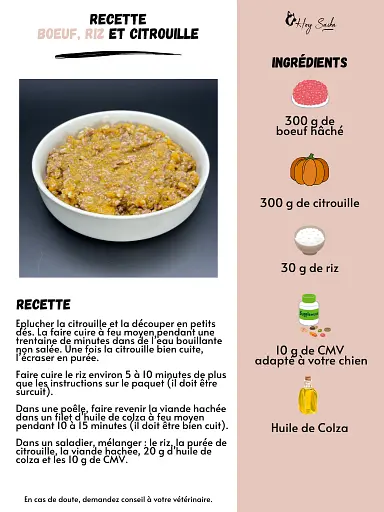 fiche-recette-boeuf-riz-citrouille-pour-chien