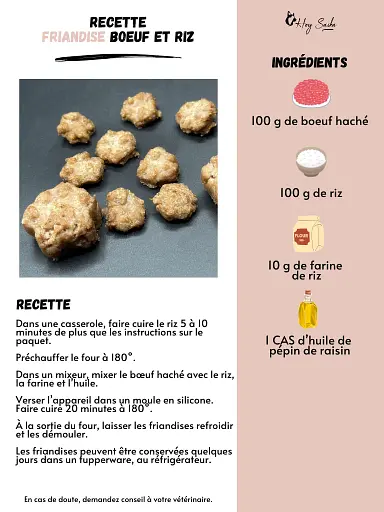 fiche-recette-friandises-education-boeuf-riz-pour-chien