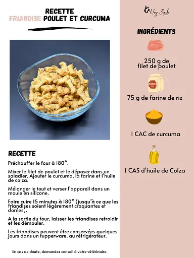 fiche-recette-friandises-education-poulet-curcuma-pour-chien