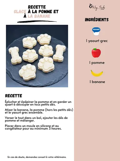 fiche-recette-glace-pomme-banane-pour-chien
