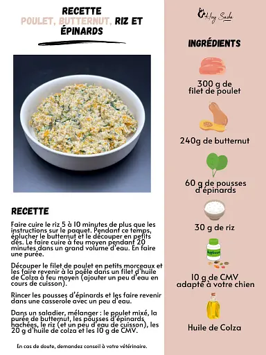 fiche-recette-poulet-butternut-riz-pousses-epinards-pour-chien