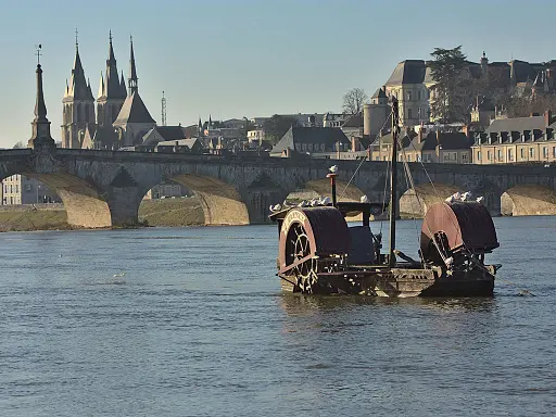 3-jours-a-blois-avec-son-chien