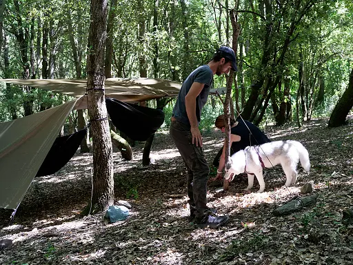 3-jours-en-stage-de-survie-avec-son-chien