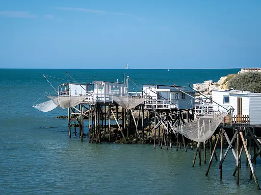 4-jours-a-royan-avec-son-chien