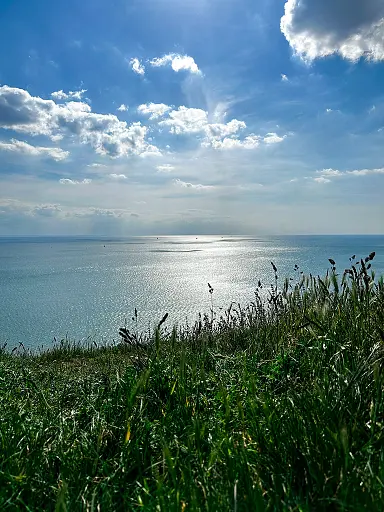 cap-de-la-heve-etretat-le-havre-avec-son-chien