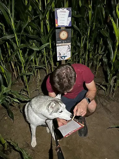 Participants cherchant des indices dans le labyrinthe de maïs la nuit