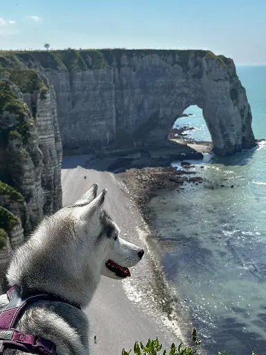 falaises-etretat-etretat-le-havre-avec-son-chien