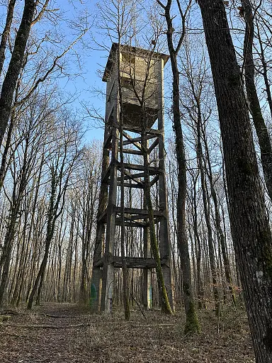 Forêt domaniale de Blois - 3 jours à Blois avec son chien