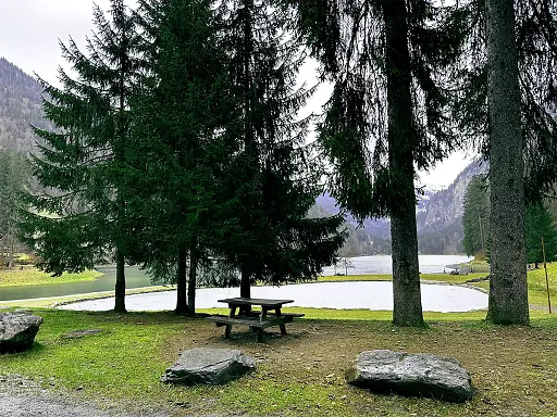 lac-de-montriond-avec-son-chien