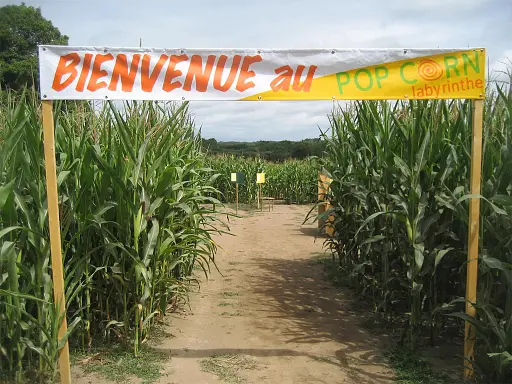 murder-party-au-pop-corn-labyrinthe-avec-son-chien