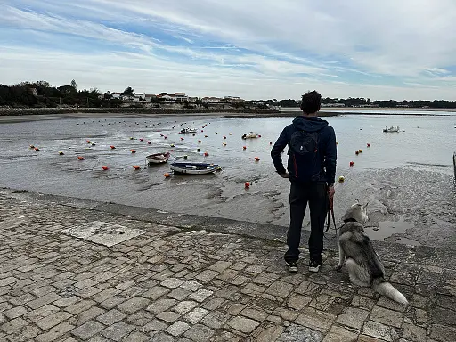 port-de-saint-georges-de-didonne-royan-avec-son-chien