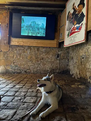 Salle avec chaises et bancs en bois pour projection vidéo
