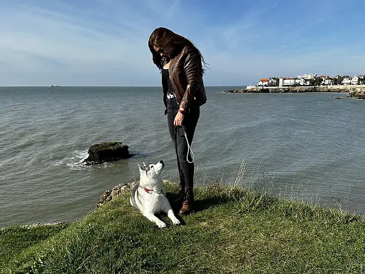 visite-de-royan-avec-son-chien