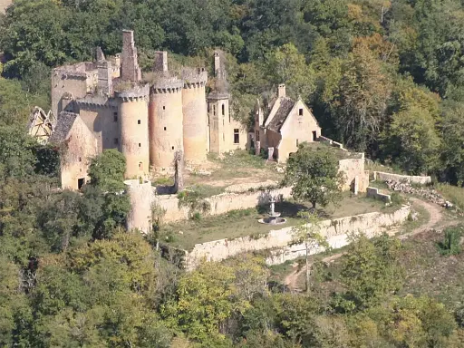 visite-du-chateau-le-paluel-avec-son-chien