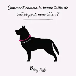 choisir-la-bonne-taille-de-collier-hey-saika