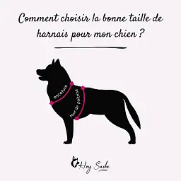 choisir-la-bonne-taille-de-harnais-hey-saika