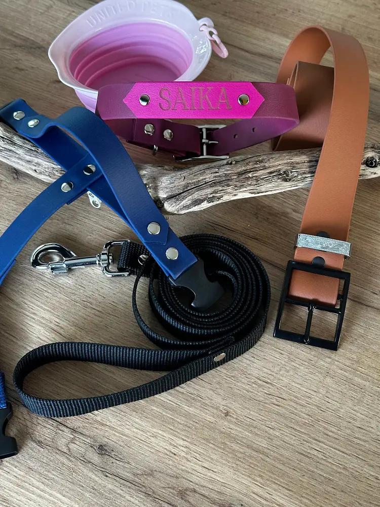 hey-saika-accessoires-pour-chien