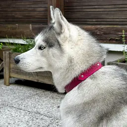 les-colliers-personnalises-hey-saika