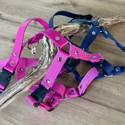 les-colliers-hey-saika