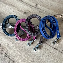 les-laisses-biothane-hey-saika