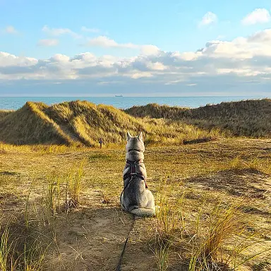 idees-voyages-hey-saika