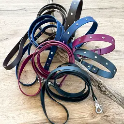 les-kits-collier-laisse-hey-saika