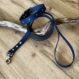 kit-collier-laisse-biothane-hey-saika