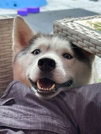 insta-image-0